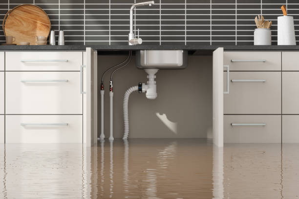 Trusted Water Damage Restoration in Piney Green, NC | Fast, Reliable, and Ready to Assist You